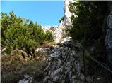 Jakobe - Feistritzer Spitze